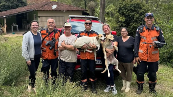 Animais se afastaram de trilha durante passeio e ficaram presos em um "paredão de pedra" de aproximadamente 60 metros de altura