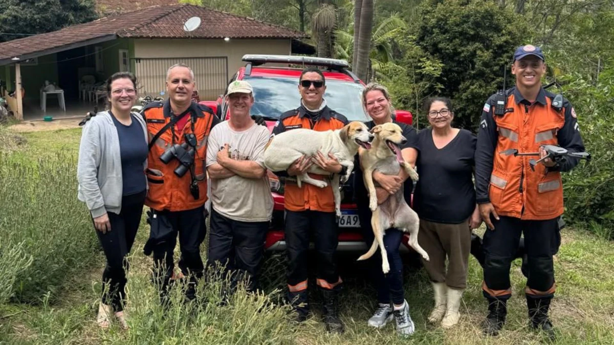 Cachorras são resgatadas em 