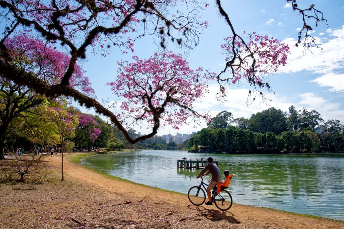 A primavera é a estação perfeita para explorar novos lugares de bicicleta (Imagem: jrduarte | Shutterstock)