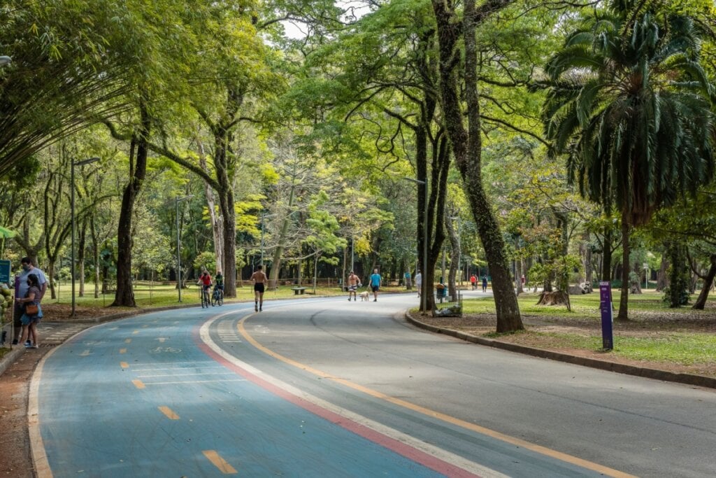 No Parque Ibirapuera, é possível pedalar em meio ao verde e contemplar a natureza (Imagem: Stefan Lambauer | Shutterstock)