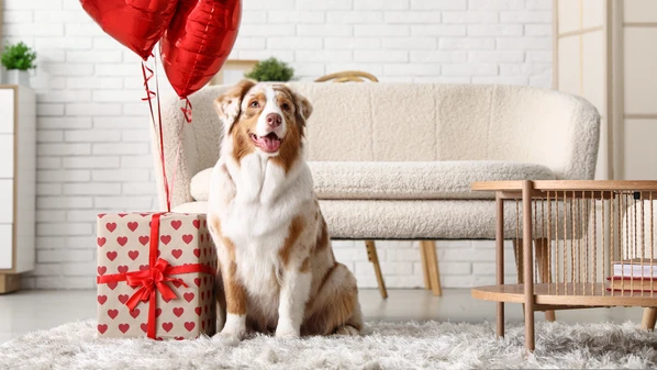 A convivência com animais pode ser positiva para a criança, mas desde que seja uma escolha consciente e coletiva da família
