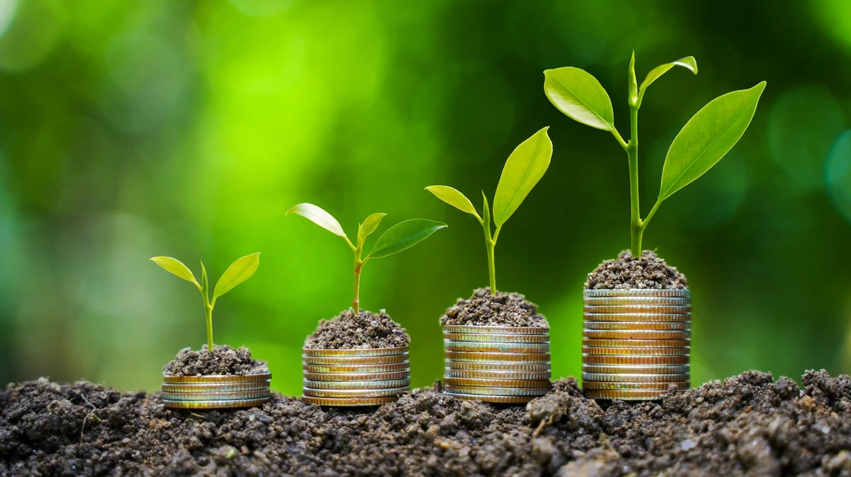 Sustentabilidade, economia verde, meio ambiente