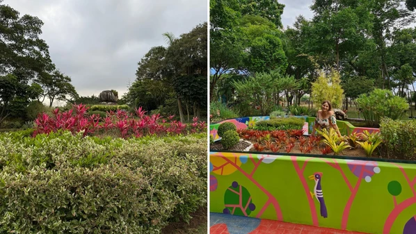 Da Grande Vitória ao interior do Estado, há diversas opções para se aproximar da natureza e se encantar com flores e jardins