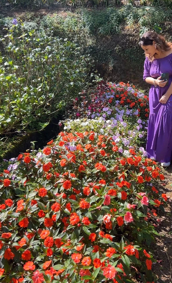 Horto Municipal de Santa Maria de Jetibá