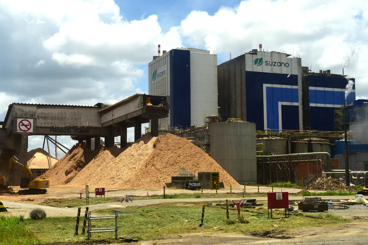 Suzano