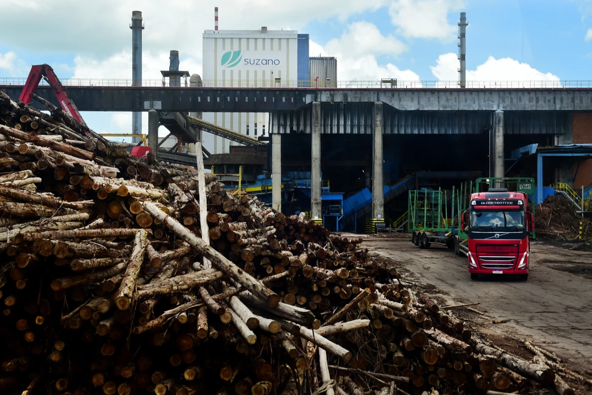 Suzano