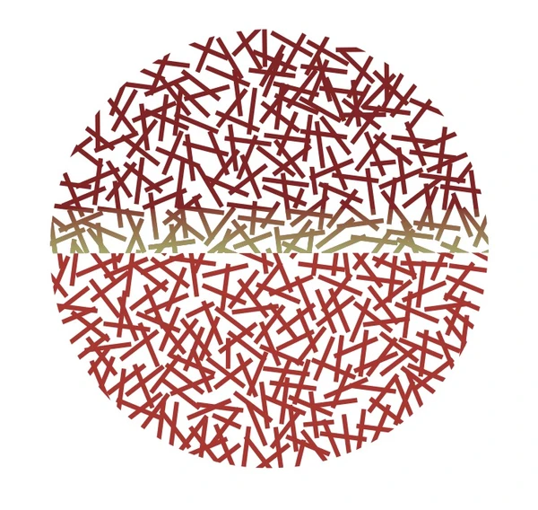   Matias Brotas celebra o centenário do capixaba Dionísio Del Santo em exposição inédita