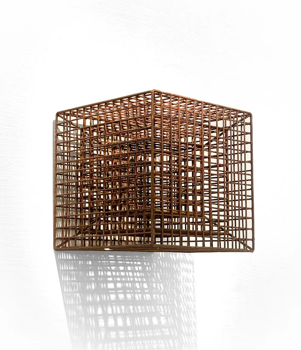   Matias Brotas celebra o centenário do capixaba Dionísio Del Santo em exposição inédita