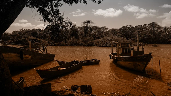 CBN Vitória - cf3oowugzws