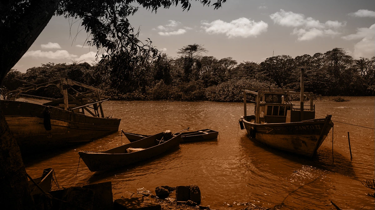 Abre Site 10 anos lama - regência