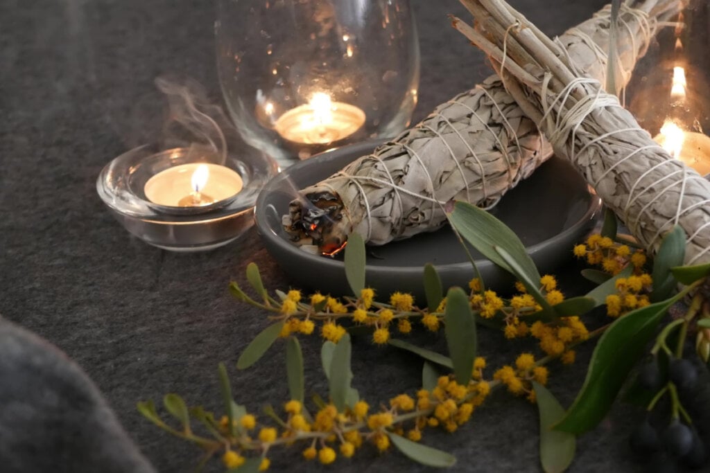 A sálvia ajuda a atrair boas vibrações (Imagem: Dogora Sun | Shutterstock)