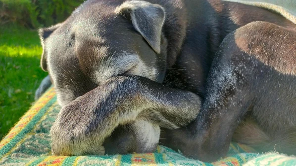 CBN Vitória - l4hubx