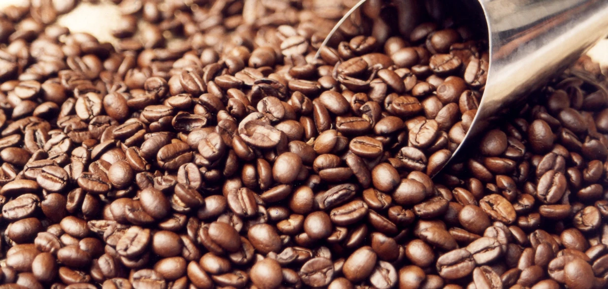 Casa Branca publicou nesta sexta-feira (14) ordem executiva diminuindo taxação sobre a importação de uma série de produtos, o que pode beneficiar o Espírito Santo