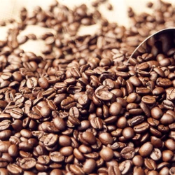 Casa Branca publicou nesta sexta-feira (14) ordem executiva diminuindo taxação sobre a importação de uma série de produtos, o que pode beneficiar o Espírito Santo