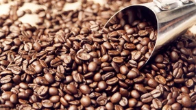 A Gazeta - kostxxne4