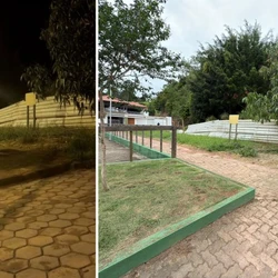 Animal foi visto em praça no bairro Santa Cecília; secretário municipal de Meio Ambiente diz que não há riscos de ataques por parte do felino
