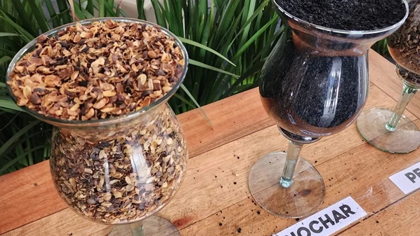 Com potencial de investimento de R$ 1,8 bilhão, projeto conta com a expectativa de participação de recursos provenientes do Fundo de Descarbonização do Bandes