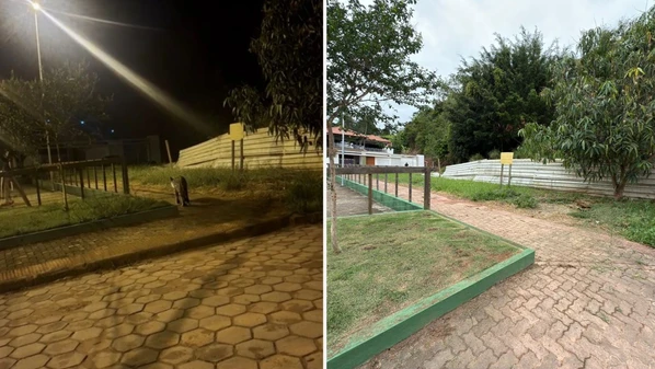 Animal foi visto em praça no bairro Santa Cecília; secretário municipal de Meio Ambiente diz que não há riscos de ataques por parte do felino