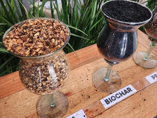 Biocarvão, descarbonização