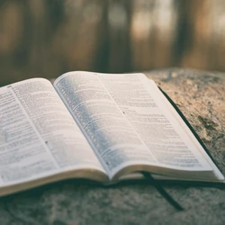 Conforme a proposta, a celebração ocorrerá anualmente, na semana que antecede o segundo domingo de dezembro, quando é comemorado o Dia da Bíblia