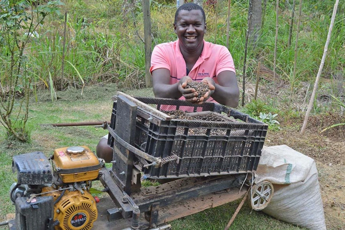 Anatalício dos Reis Silva