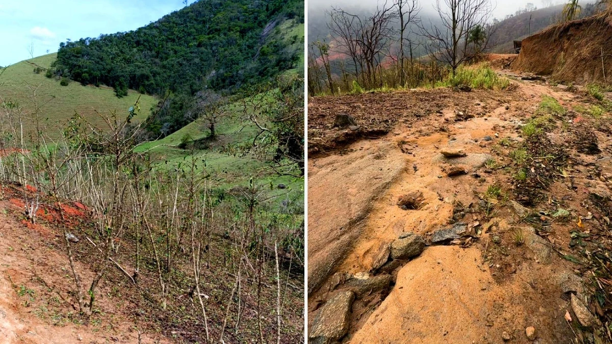 Prejuízo de produtores rurais passa de R$ 40 milhões após chuvas em Muniz Freire