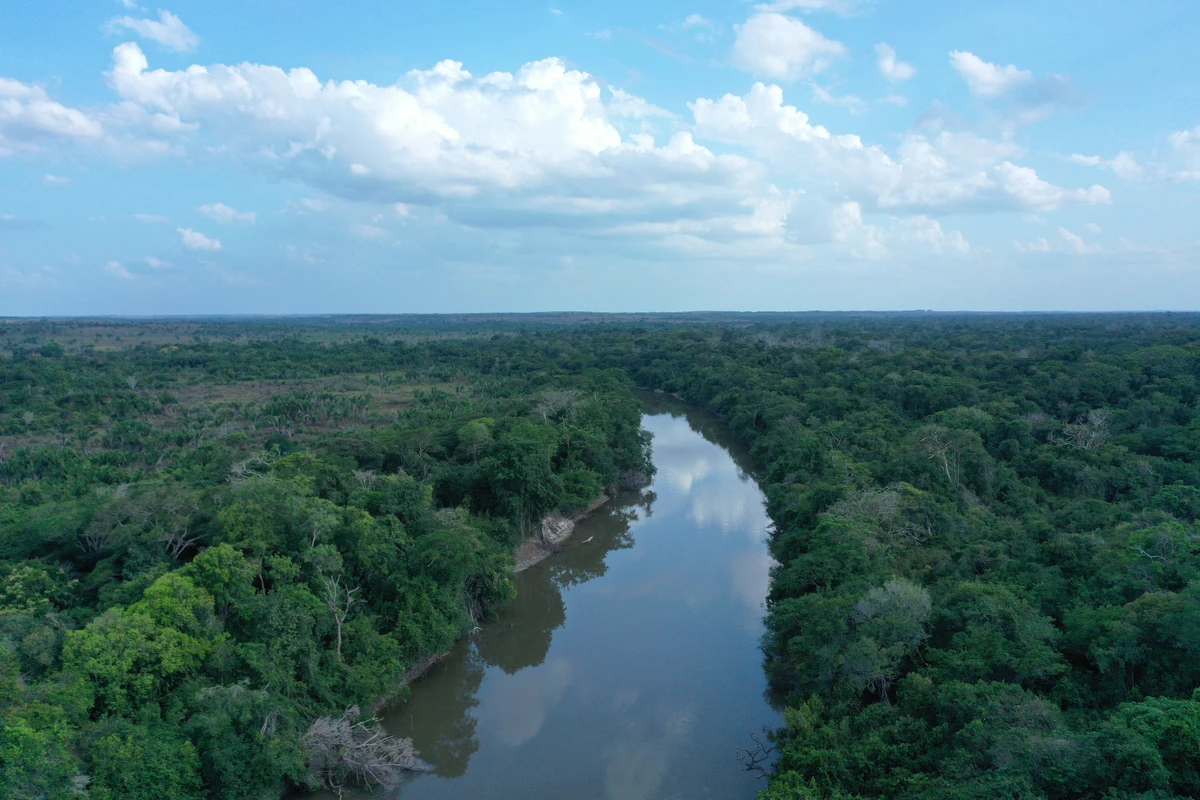 Nos próximos 30 anos, a Vivo fará a regeneração e proteção de cerca de 800 hectares na Amazônia.