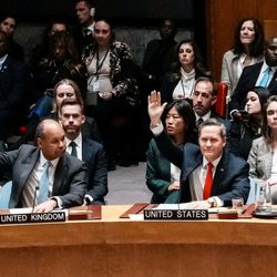 O plano inclui a criação de uma Força Internacional de Estabilização, que trabalharia para desmilitarizar o território palestino. A resolução não teve voto contrário no conselho, mas Rússia e a China se abstiveram.