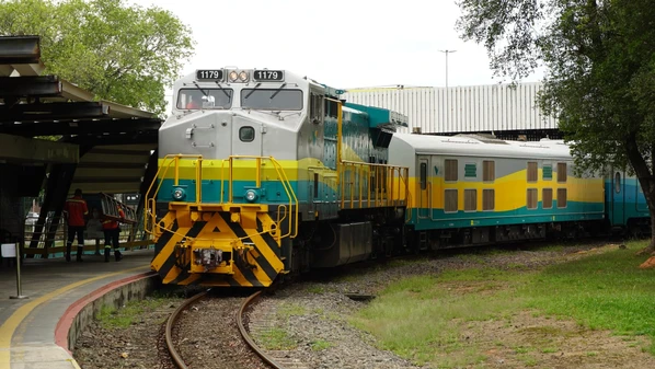 Primeira viagem à noite será realizada em 1° de janeiro de 2026; trem vai circular nos meses de janeiro, em julho e em dezembro