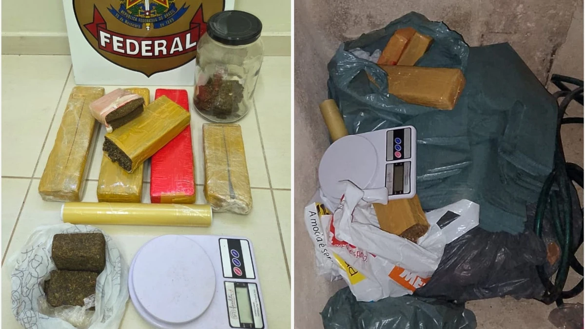 Além das prisões, 5kg de maconha foram apreendidos em operação da Polícia Federal em Cachoeiro