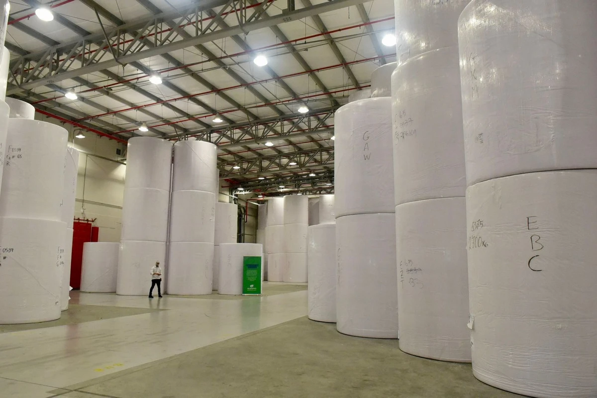 Bobinas que vão virar papel higiênico