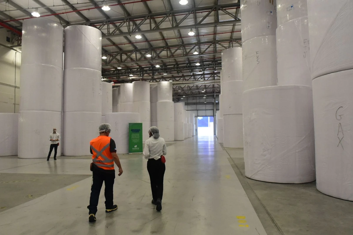 Bobinas que vão virar papel higiênico por Carlos Alberto Silva