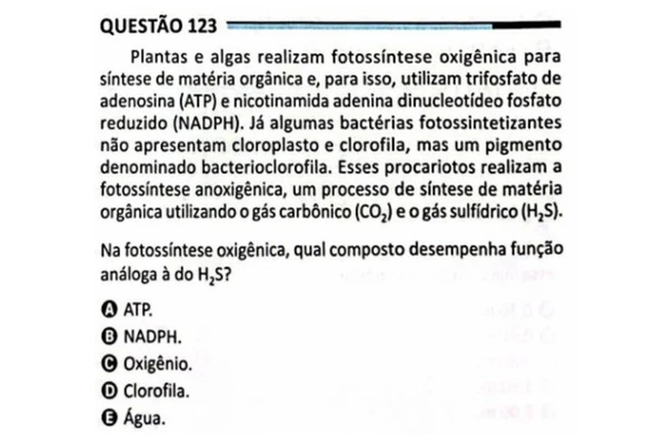 Versão presente no Enem 2025, questão de 123, do caderno azul 