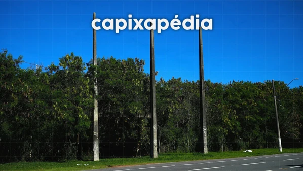 A reportagem de A Gazeta desvendou o mistério de três colunas gigantes que ficam localizadas entre os bairros Mata da Praia e Jardim Camburi