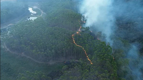 Registros de fogo na vegetação foram feitos na sexta-feira (21) e no sábado (22), mas o Corpo de Bombeiros conseguiu apagar as chamas