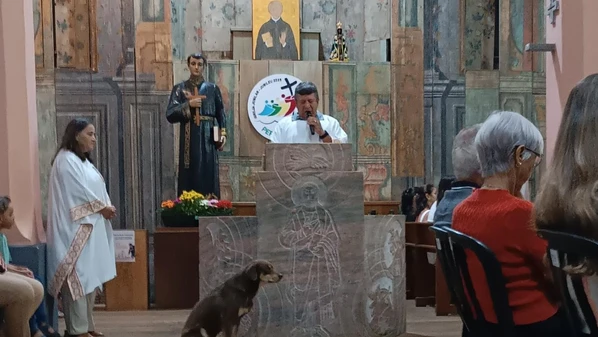 Animal entrou no templo católico histórico, postou-se em frente ao púlpito e ficou muito atento à liturgia