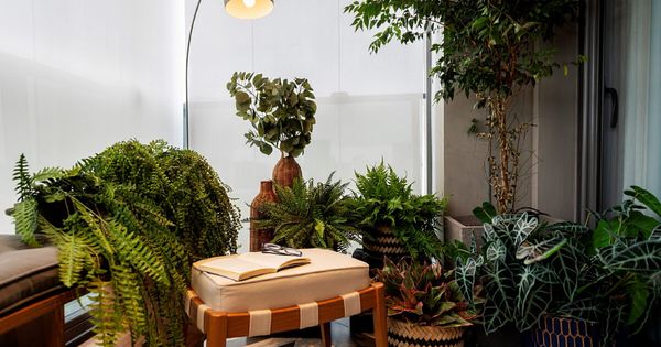 Com apenas quatro dicas práticas, é possível tornar os espaços mais aconchegantes e garantir a saúde da vegetação