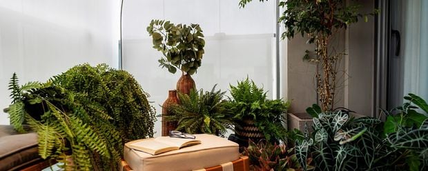 A Gazeta - dfiqdngkgl