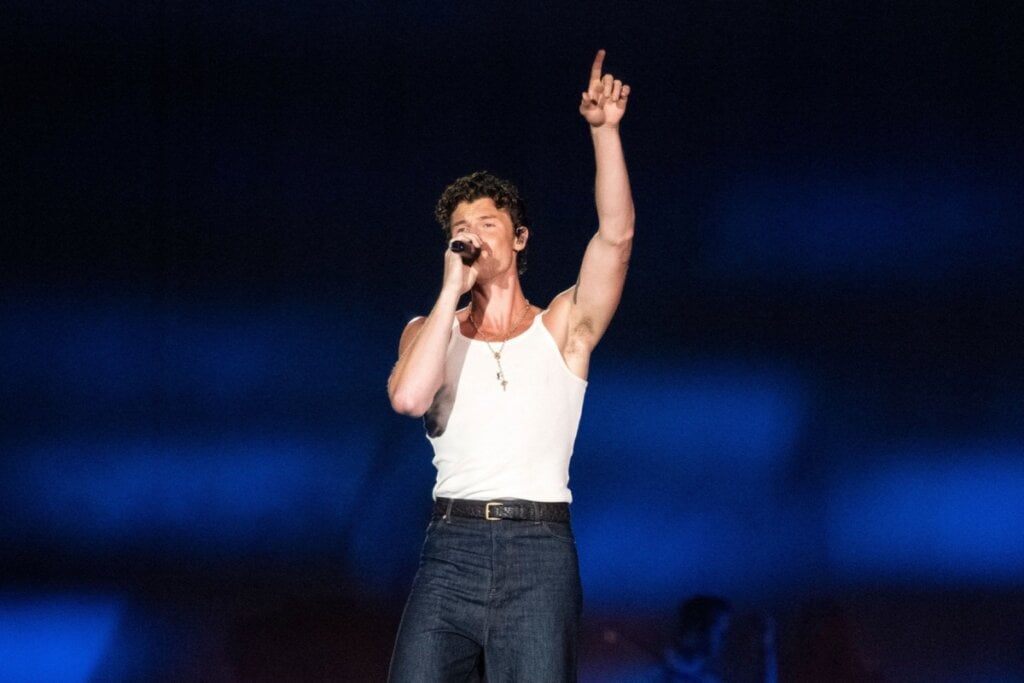 Shawn Mendes tem uma combinação que mistura carisma com originalidade (Imagem: Delmiro Junior | Shutterstock)