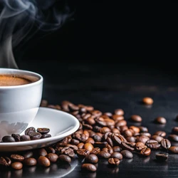 Projeção é da Companhia Nacional de Abastecimento e reflete as condições iniciais observadas em campo; ajustes podem ser feitos ao longo do ciclo produtivo