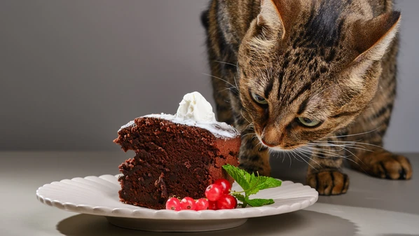 Essa limitação pode causar desconforto gastrointestinal e até distúrbios hepáticos e metabólicos, como o diabetes