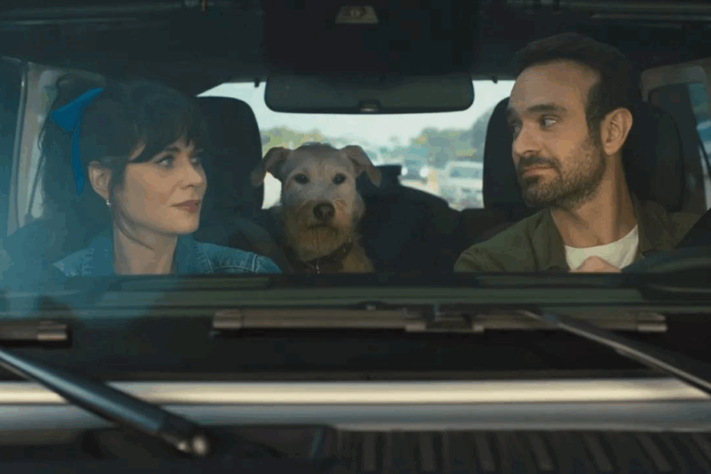 “Merv” explora a convivência de dois ex-cônjuges que precisam colocar as diferenças de lado por causa do cão da família (Imagem: Reprodução digital | Amazon MGM Studios)