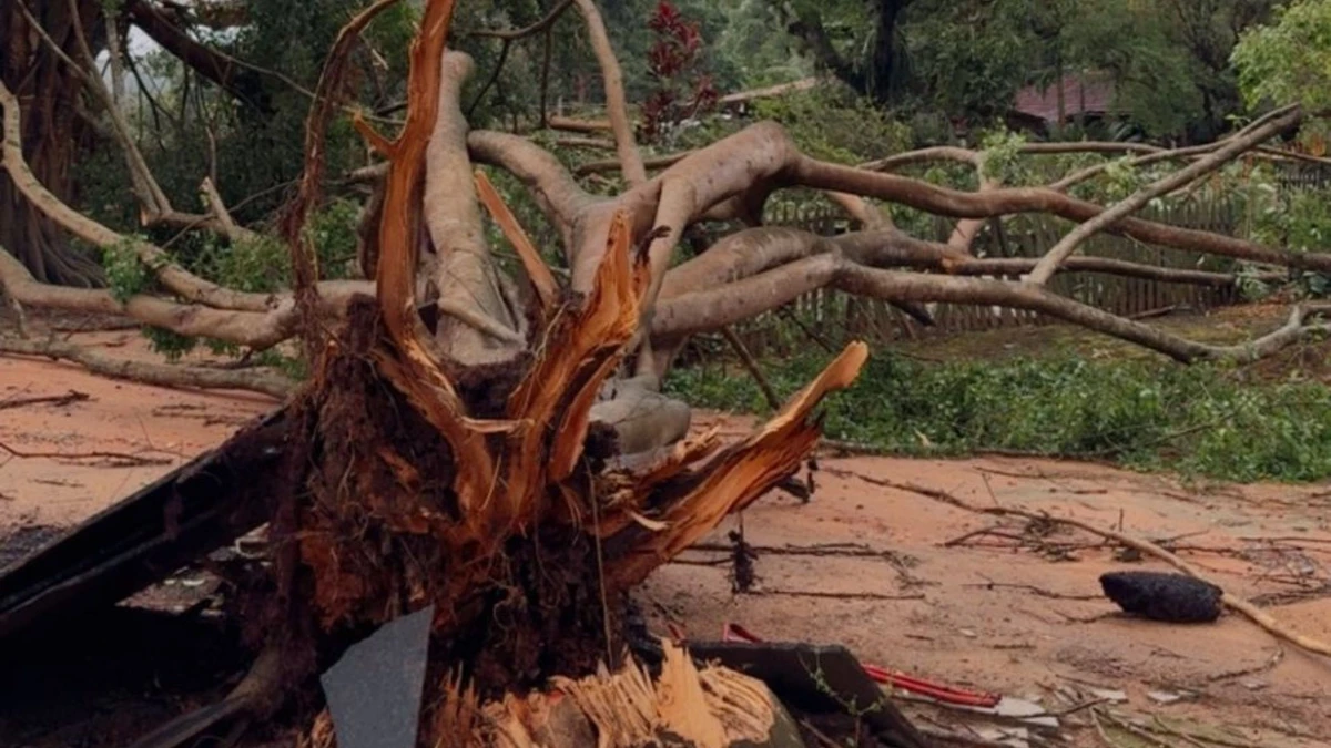 Temporal provoca danos em São Domingos do Norte por Reprodução | Leitor AG