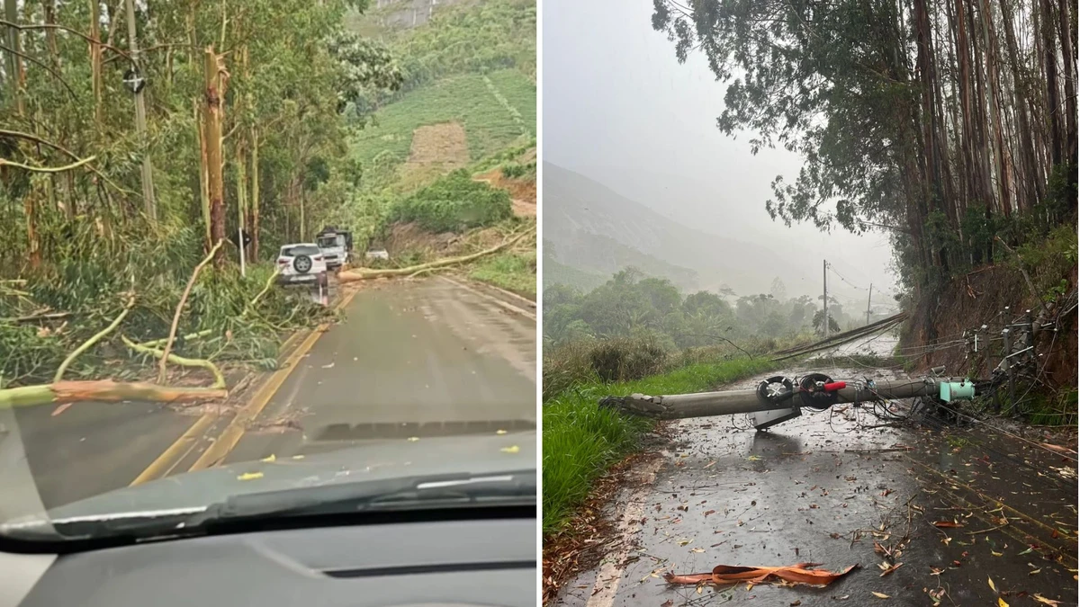 Vento forte derruba poste e árvores em rodovia 