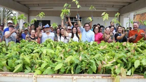 A Gazeta - 4uj1c2nq7fw