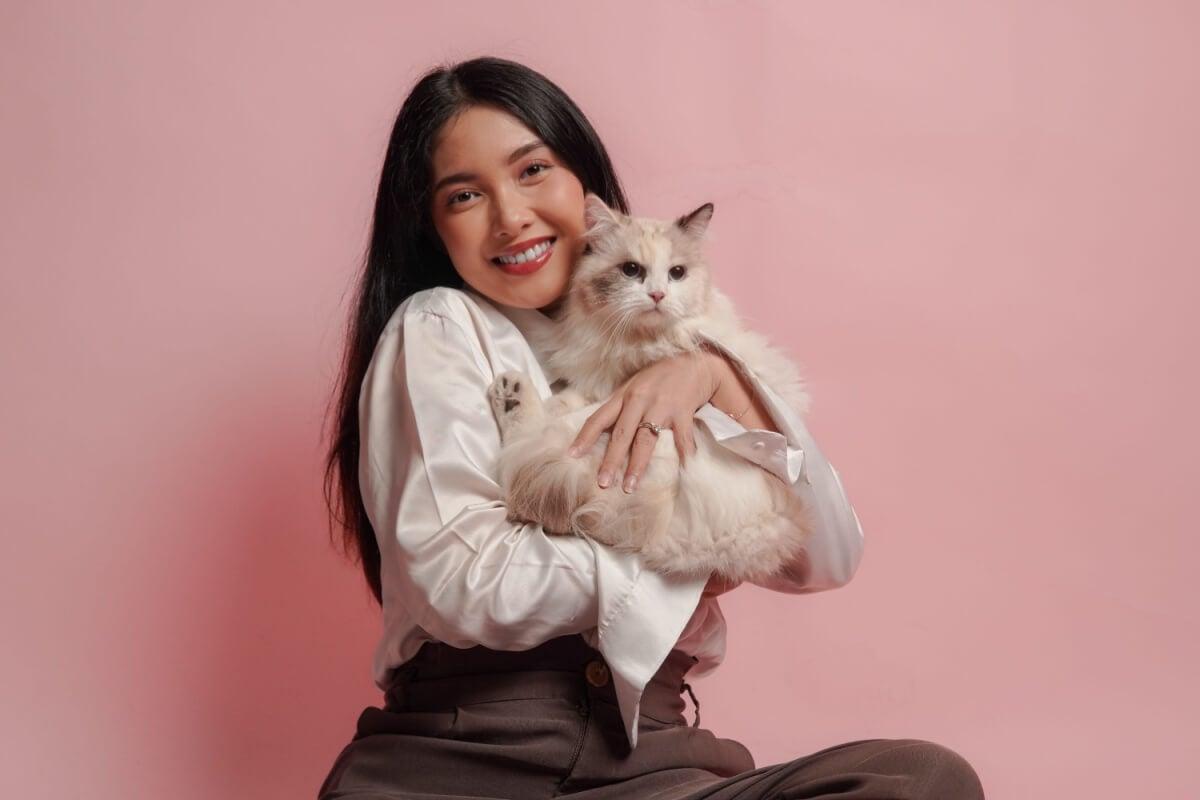 Algumas raças de gatos se destacam justamente por serem sociáveis e afetuosas (Imagem: Reezky Pradata | Shutterstock)