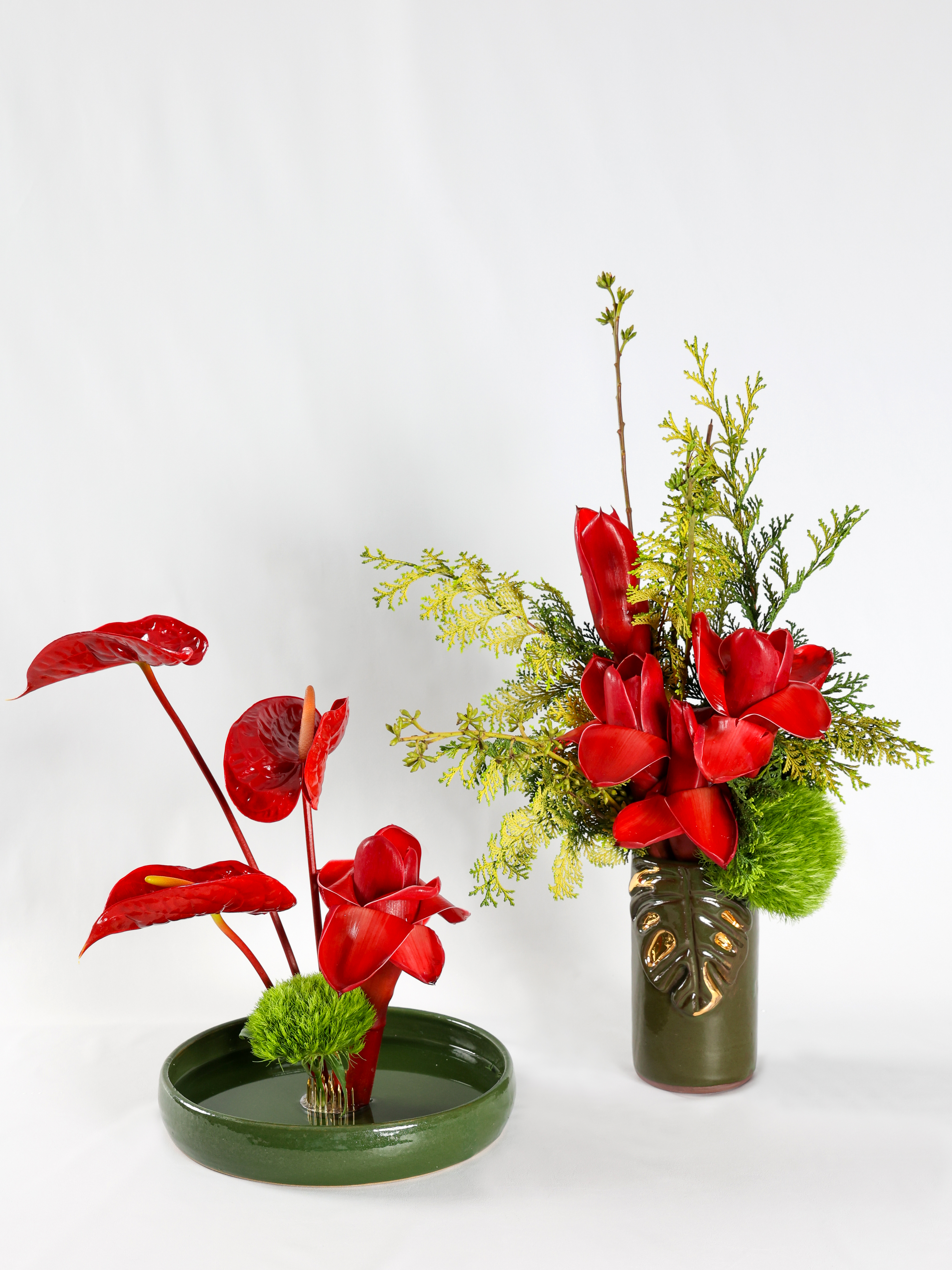 Vasos da coleção Tropismo