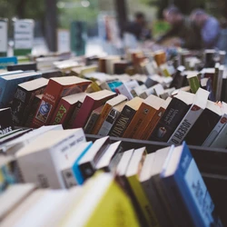 Nos últimos anos, livrarias independentes vêm reconquistando espaço no Brasil justamente por oferecerem algo que o digital não consegue replicar: a experiência