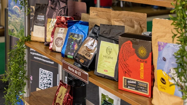 Maior produtor de café conilon no país, Espírito Santo também tem destaque nas bebidas feitas com grãos selecionados de conilon
