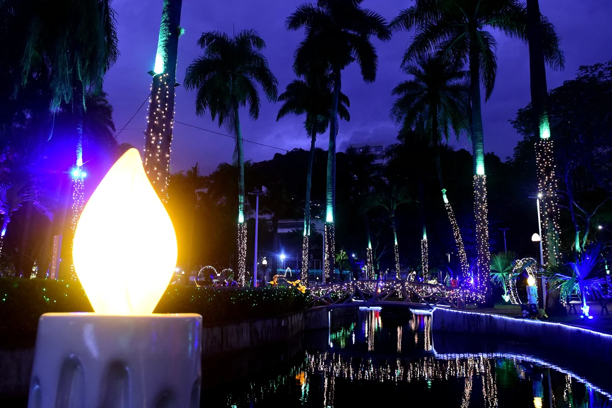 Iluminação de Natal no Parque Moscoso por Carlos Alberto Silva